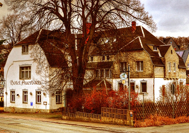 Alter Gasthof -Hotel Auerbach- (2015) Abriss 2021.jpg